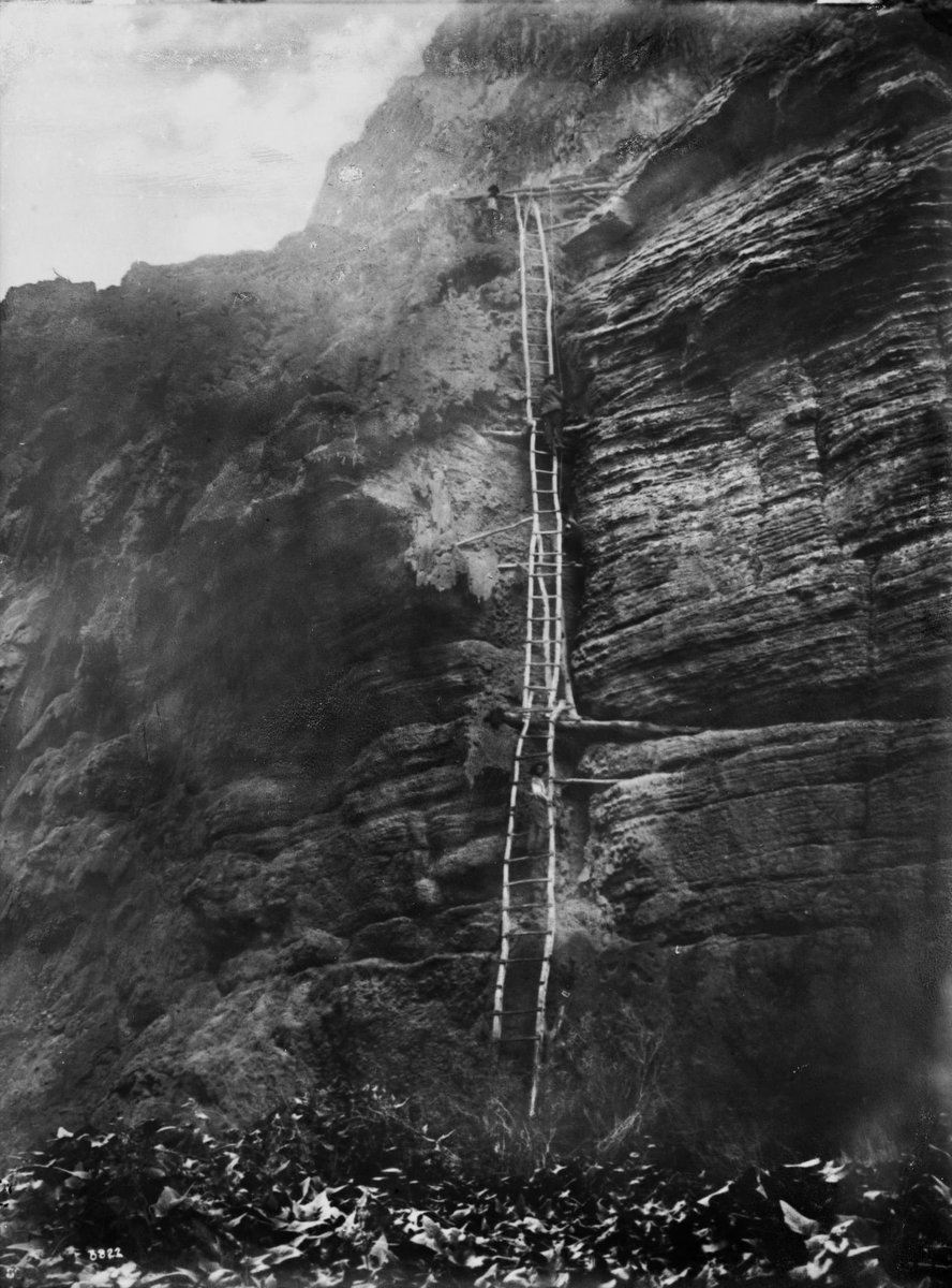 Havasupai men on a series of wooden ladders leading out of Havasu Canyon, and onto a foot trail leading to Mooney Falls in Arizona Territory - 1899