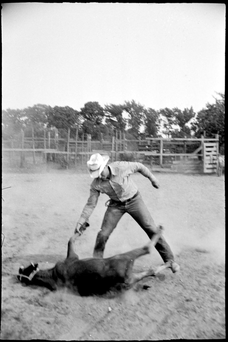 ipodmacbook's tweet photo. scanning boxes of my grandpas film from the 50s when he was in the rodeo. pretty sick https://t.co/BJGqkEiiRI