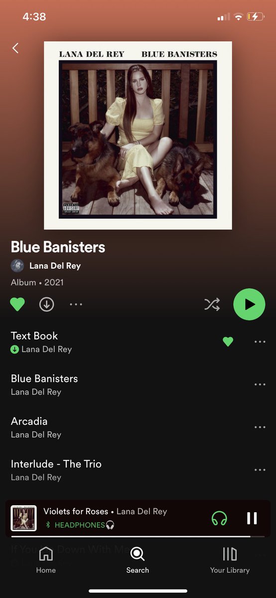 ctrlglued's tweet photo. this album is excellent https://t.co/NxaLurOgXZ