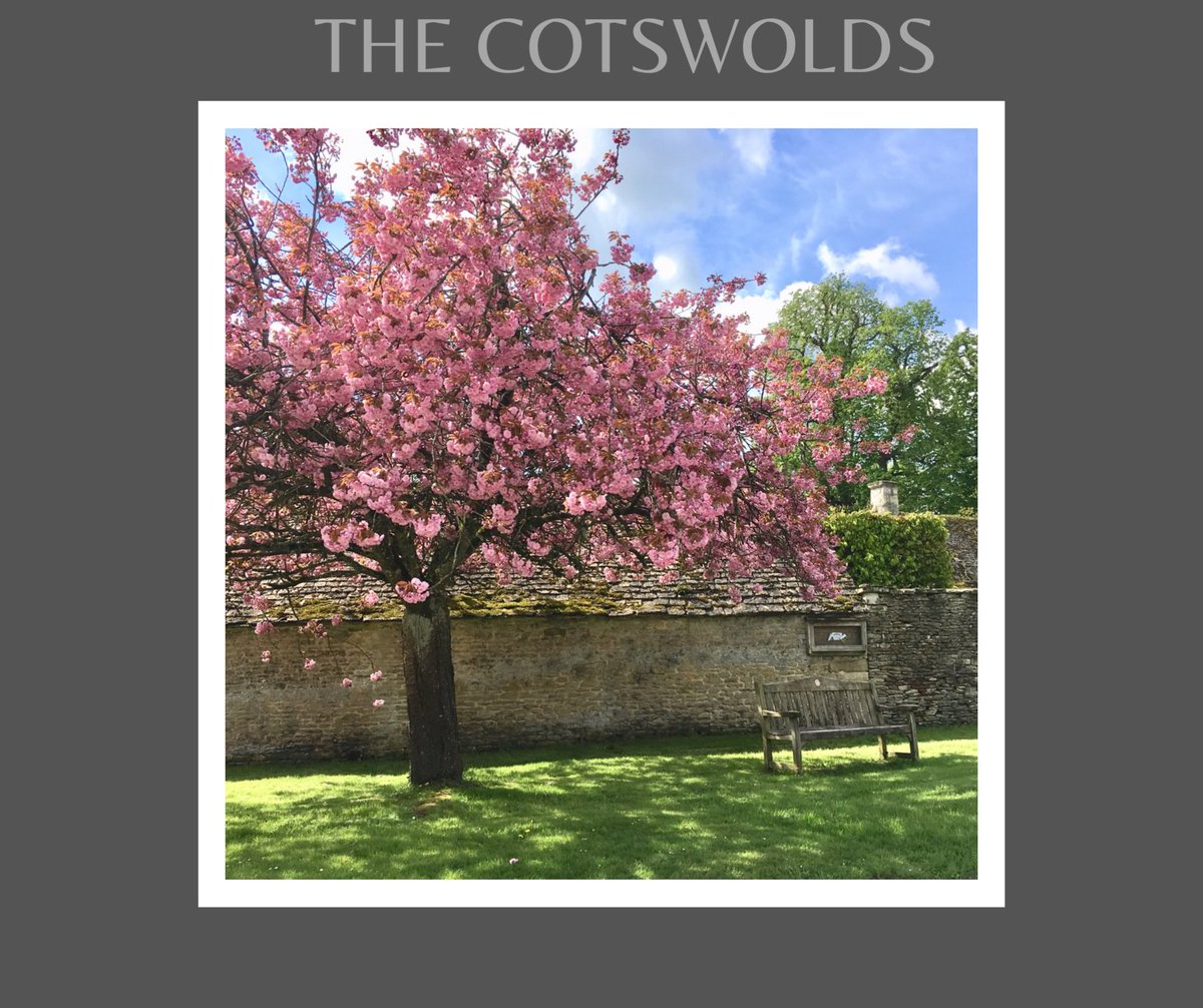 Looking forward to blossom time in our special part of The Cotswolds