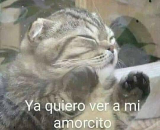 Guarromantico_ tweet picture