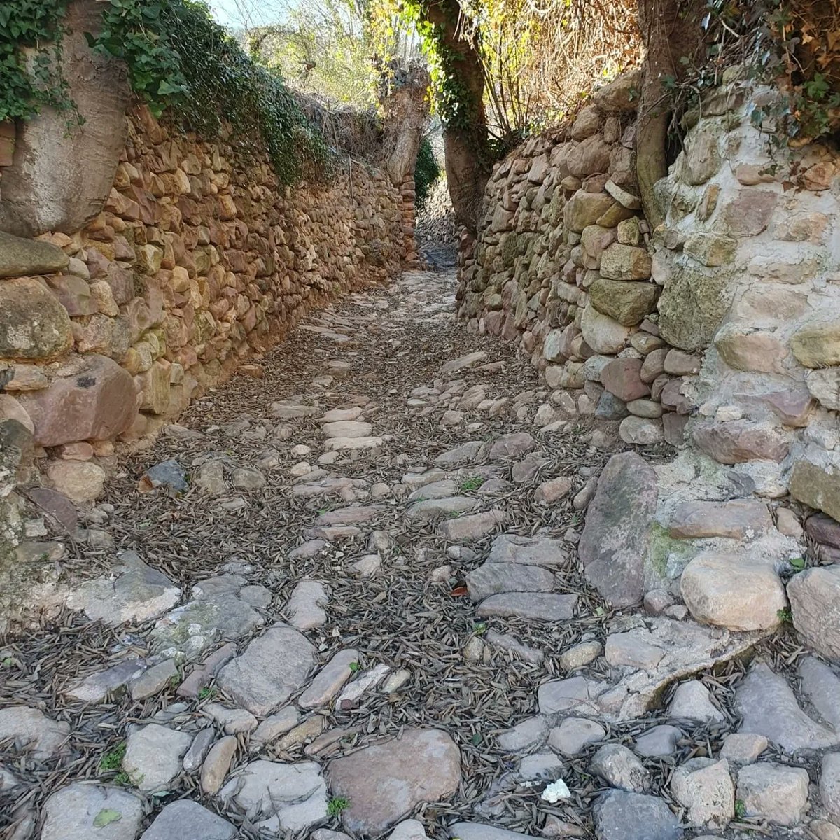 almonecir's tweet photo. Primera comitiva de Balad-Almunestir de las 4 previstas, hoy tocaba desde La Vall de Almonacid hasta Algimia de Almonacid y posterior comida estilo morisco. Todo un éxito. https://t.co/R8scj4IQ2s