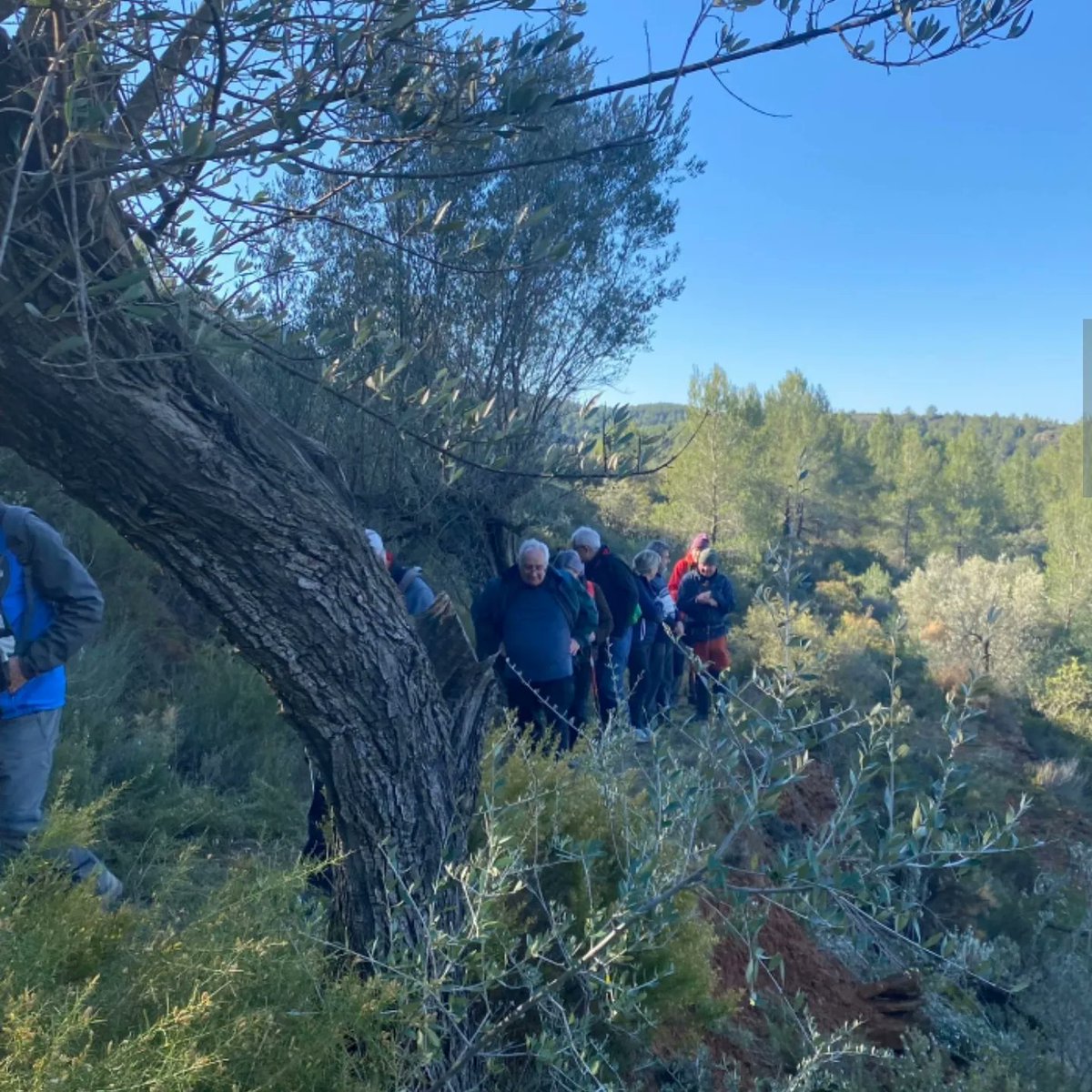almonecir's tweet photo. Primera comitiva de Balad-Almunestir de las 4 previstas, hoy tocaba desde La Vall de Almonacid hasta Algimia de Almonacid y posterior comida estilo morisco. Todo un éxito. https://t.co/Uvmqq1mnaj