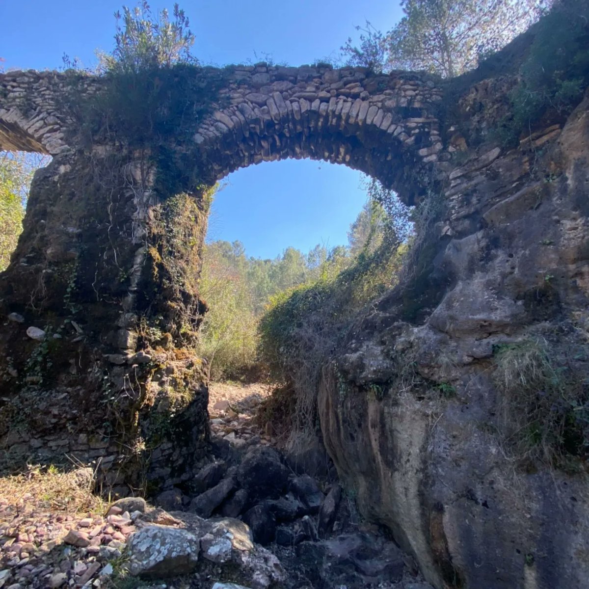 almonecir's tweet photo. Primera comitiva de Balad-Almunestir de las 4 previstas, hoy tocaba desde La Vall de Almonacid hasta Algimia de Almonacid y posterior comida estilo morisco. Todo un éxito. https://t.co/Uvmqq1mnaj