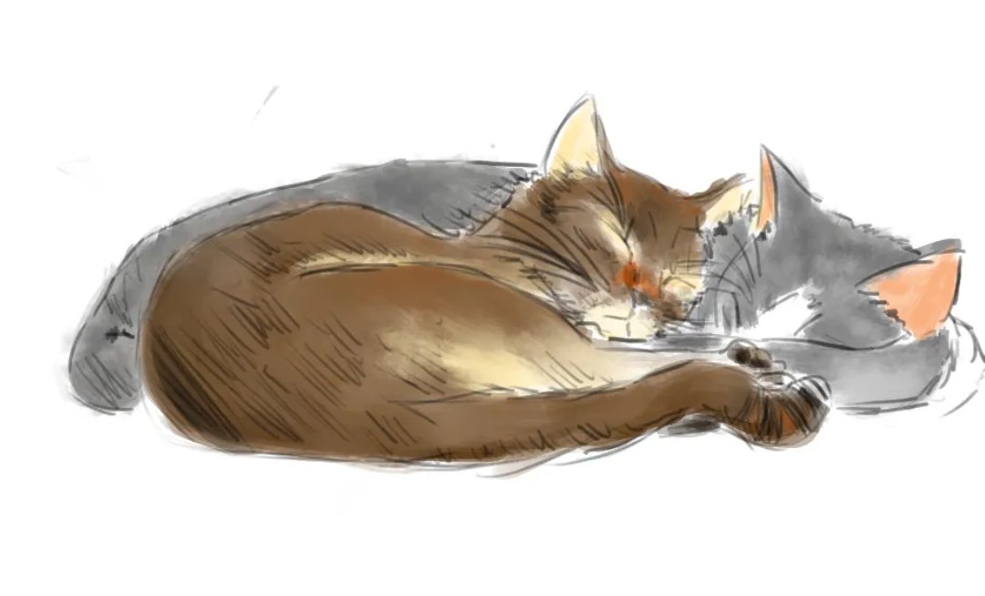 dialdjini's tweet photo. petit dessin rapide des chats, en ayant le bonheur d'en avoir un des deux sur les genoux ❤️
très bon test des brushs du soft que je découvre eheh 

#drawing #art #sketch #illustration #draw #digitalart  #digitaldrawing #cat #cats  #catlover #catlife #catlovers #kitten #kitty #pet https://t.co/YlaRoIe5eF