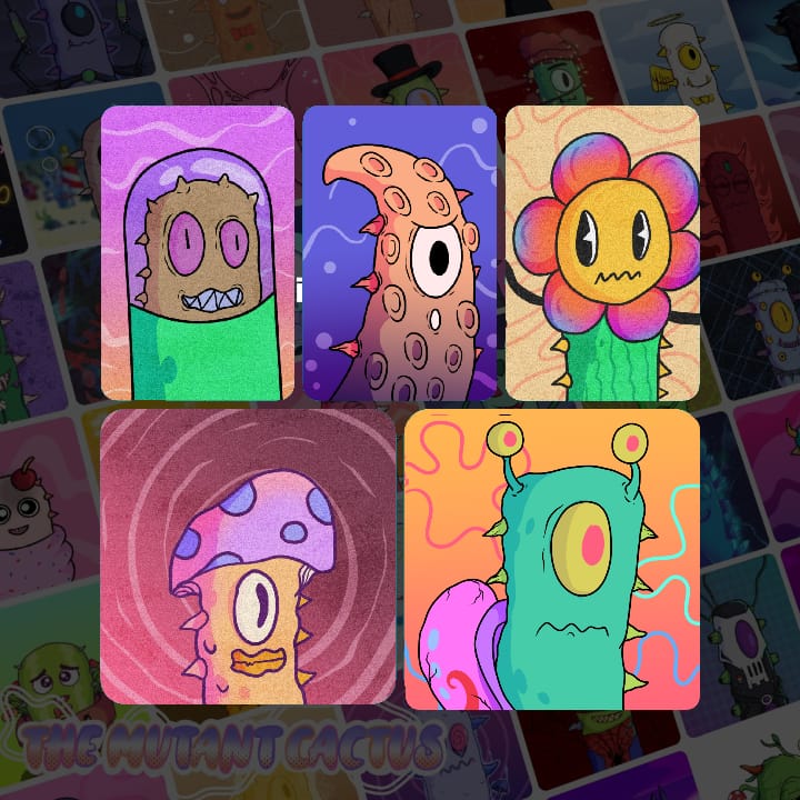 Tortuga 3 tweet media