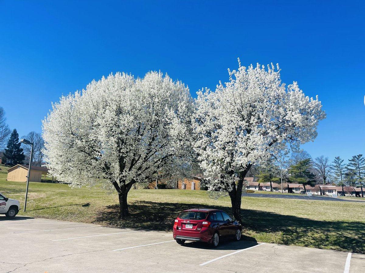 Debmitch63's tweet image. Out and about today #spring #springinvirginia
