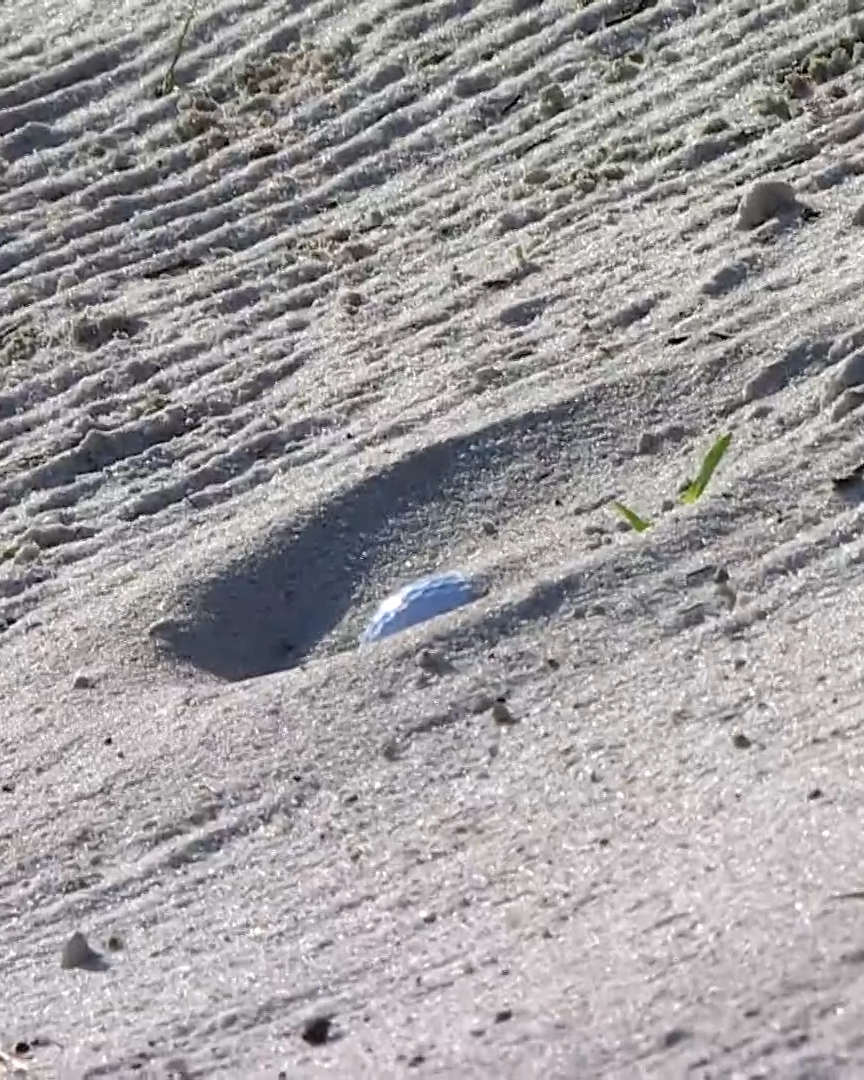 PGA TOUR tweet media