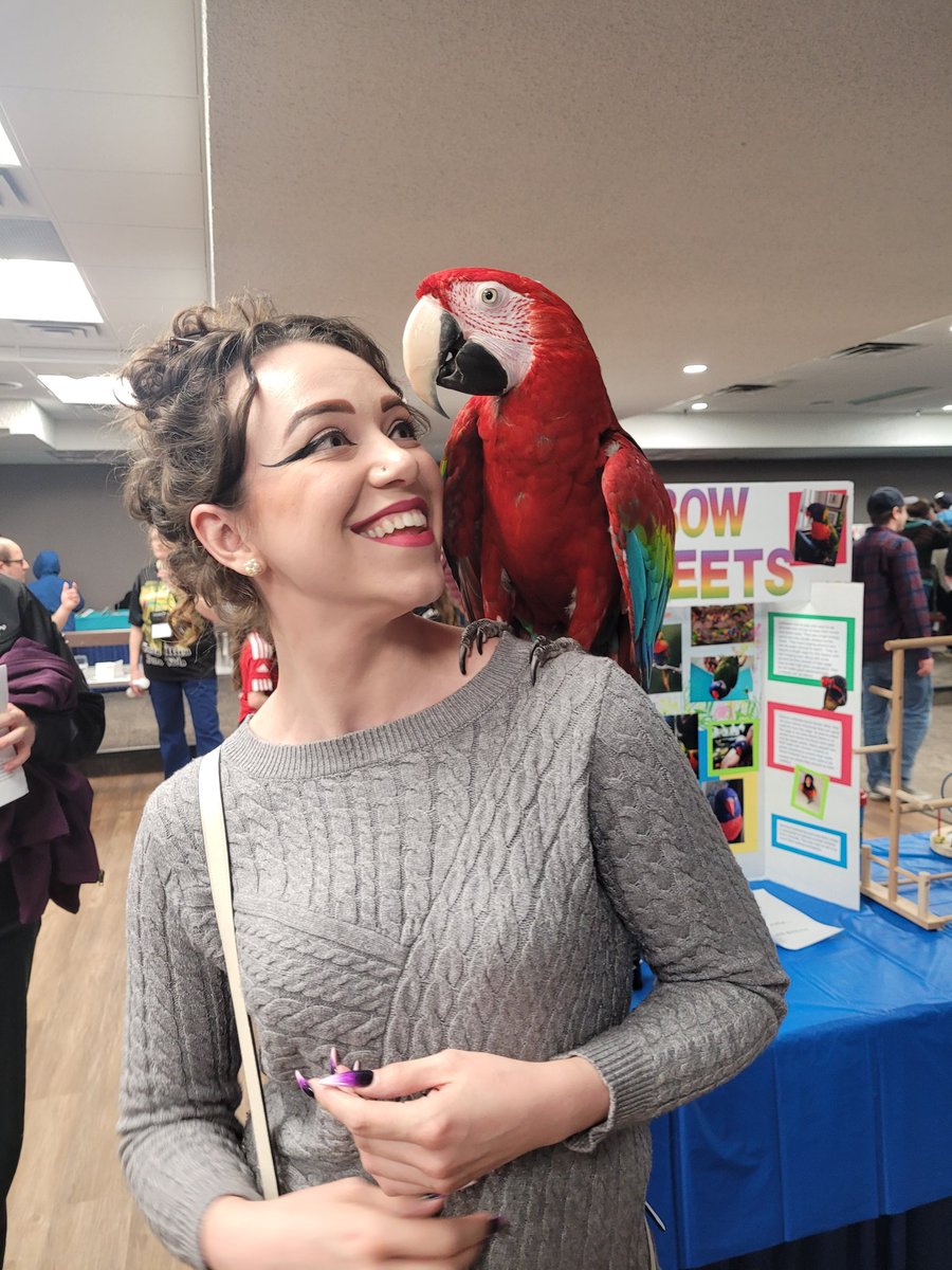 Roseiquartz1's tweet photo. 🥀 Look at this distinguished gentleman! 🦜 We got out to the local birb show today https://t.co/goOAHRsPU6