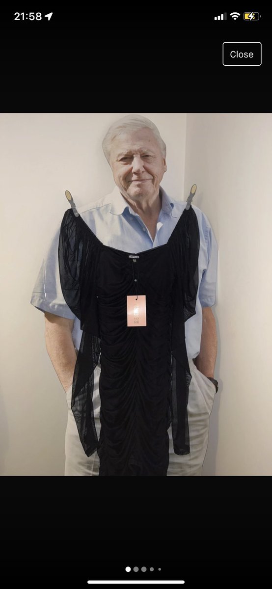 BethanMcConnell's tweet photo. Shoutout to a lass on Vinted in Sunderland who is using a cardboard cutout of David Attenborough to sell her dresses https://t.co/PptQQoCclf