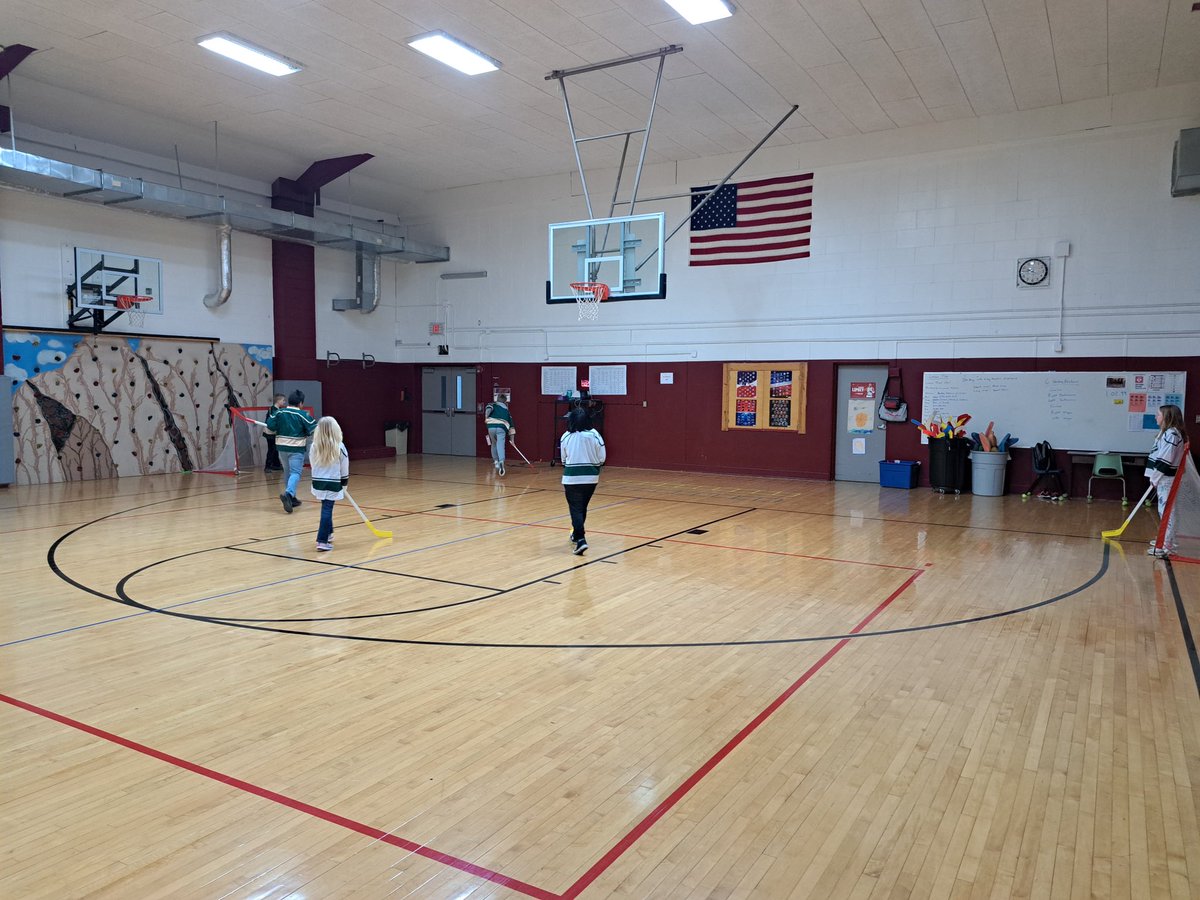 shcsd's tweet photo. Thanks to the @IAWild for again providing equipment and curriculum for our Floor Hockey Program!  #SHHawks #10WAGROWN @JSTEINO https://t.co/STzj0jPyZO