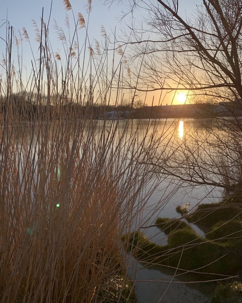 KatehardyFrance's tweet photo. Coucher du soleil, La Loire à Basse-Indre https://t.co/mYdWTE4ioz https://t.co/pf9LtJao5W
