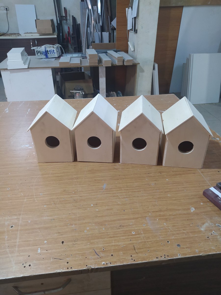 Yavruların yuvaları hazir