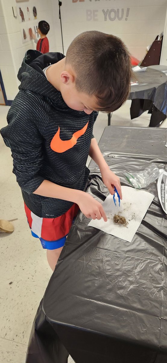 Dr. Tim Sparbanie tweet media