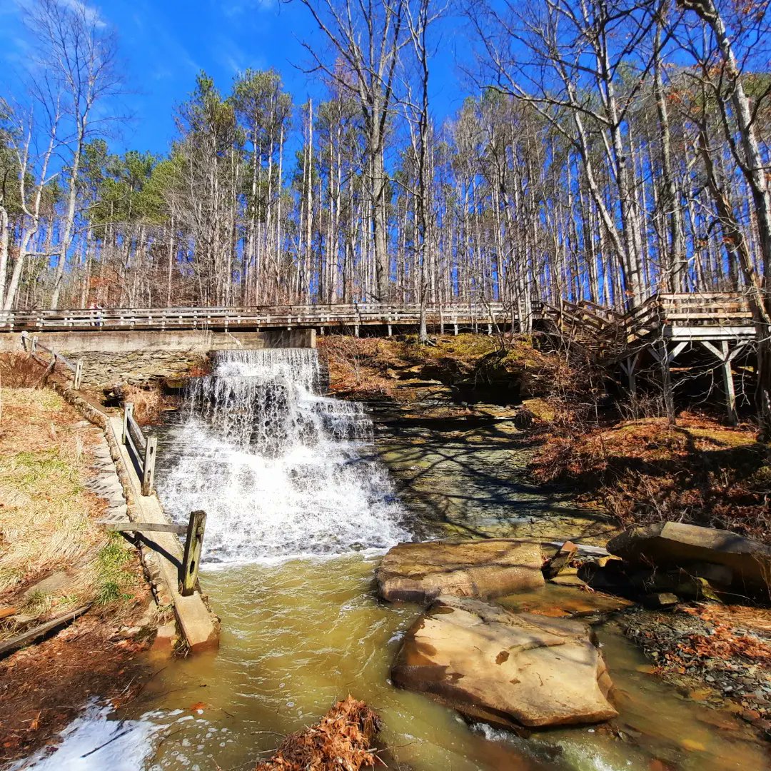 Hiked Brown County State Park today 🥰