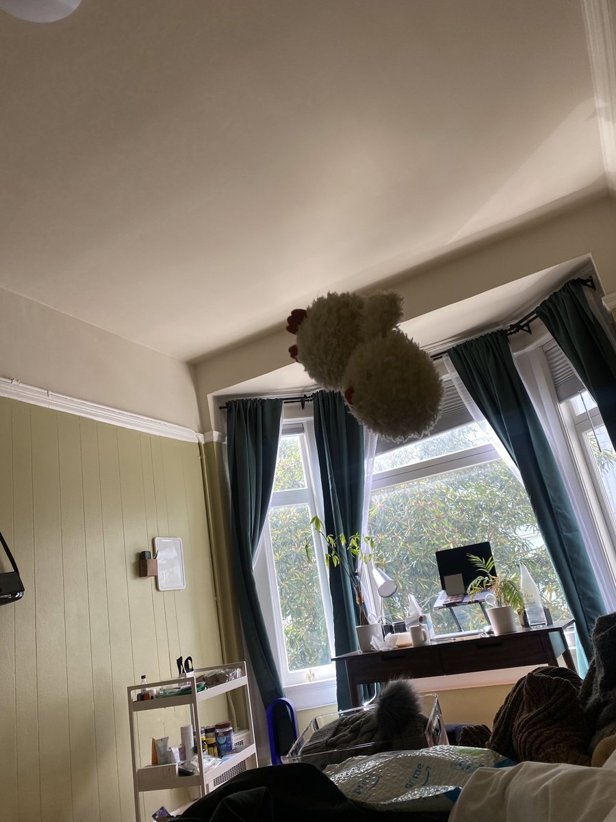 apronkink's tweet photo. @jellycat https://t.co/ujQ7eeqrCc