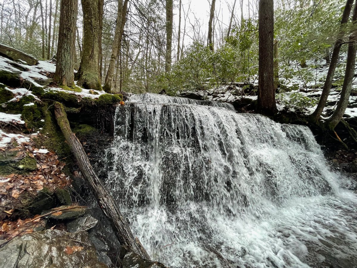 thadwill's tweet photo. Waterfall Club outing to Yost Run Falls, then Dead Canary brewing in Philipsburg on the way home. https://t.co/MrAcZ2HR60