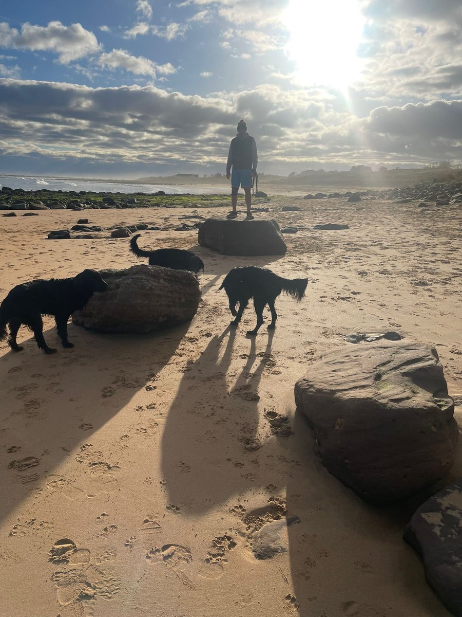 Brora, Sutherland 1/3/23 ☀️ 🏴󠁧󠁢󠁳󠁣󠁴󠁿 🐕