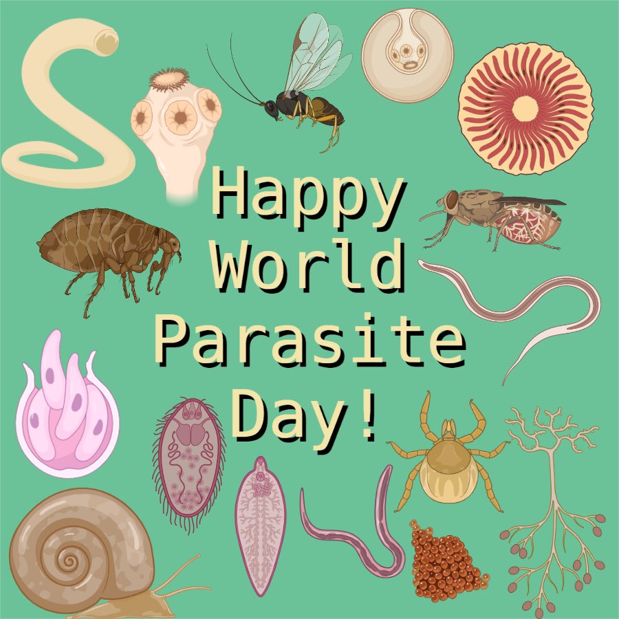 SESocParasit's tweet photo. Happy world parasite day! #worldparasiteday #parasites #nematodes #helminthes #cestodes #platyhelminthes #trematodes #ticks #vectors https://t.co/aji7crT9bf