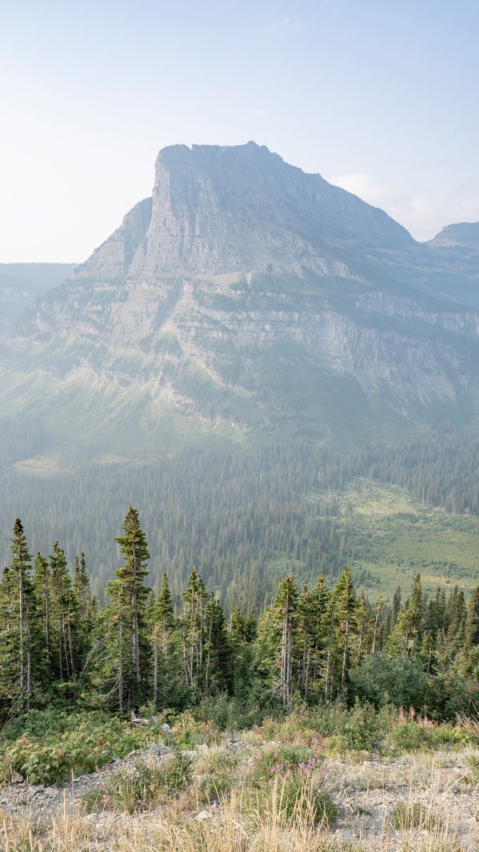 neverduskys's tweet photo. Iceberg Lake Trail
Glacier National Park 
Montana https://t.co/4NXsEfZeaX
