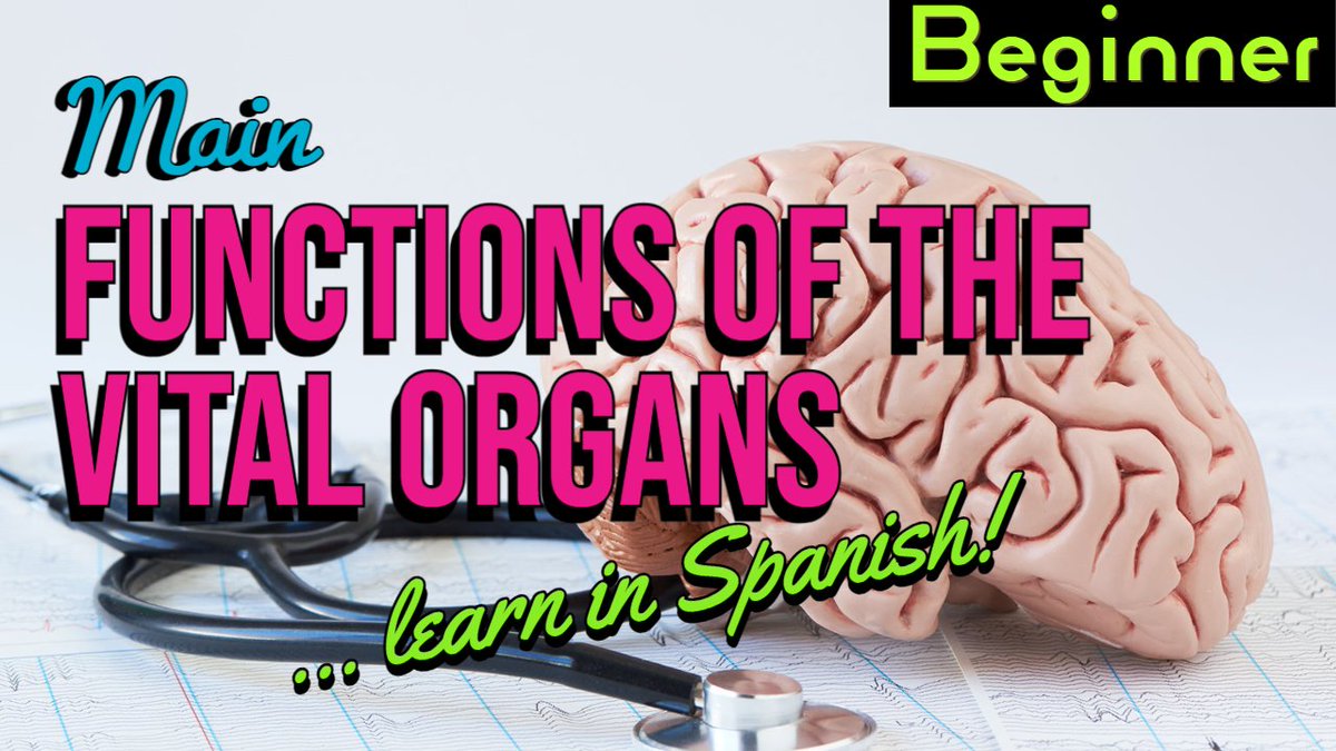 Sharpen_Spanish's tweet photo. Learn about the vital organs of the human body in simple Spanish!

https://t.co/3RKFOn7GlF

#Spanish #learnspanish #spanishstories #comprehensibleinput #spanishimmersion #languagelearning #polyglots #spanishlessons #spanishlanguage #spanishlearner #spanishcomprehensibleinput https://t.co/74nQ6amrwr