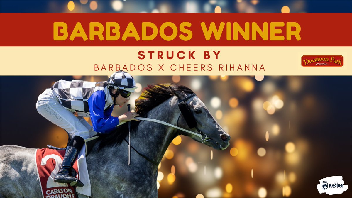 ducatoon's tweet photo. BARBADOS continues his winning sire streak

Just 3 opportunities to purchase his progeny at next weeks Adelaide @mmsnippets  

From just 22 starts STRUCK BY has now delivered 8:2:4 &amp;  $397,250

Perfectly handled as always by @TJDoudleracing  and Jacob Opperman https://t.co/a9wid6Fzm4