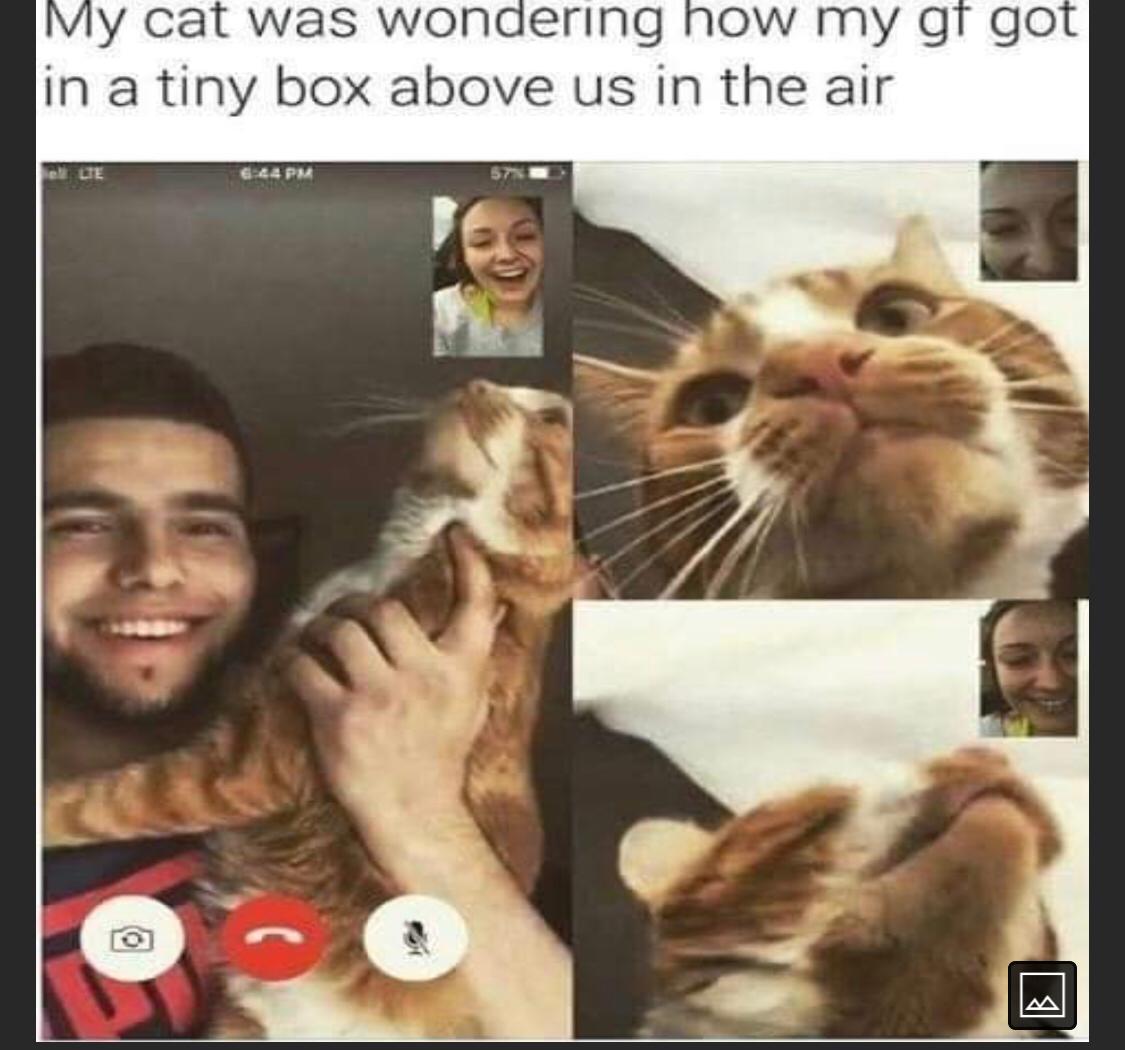 WholesomeMeme's tweet photo. https://t.co/YLSv2qJDzL