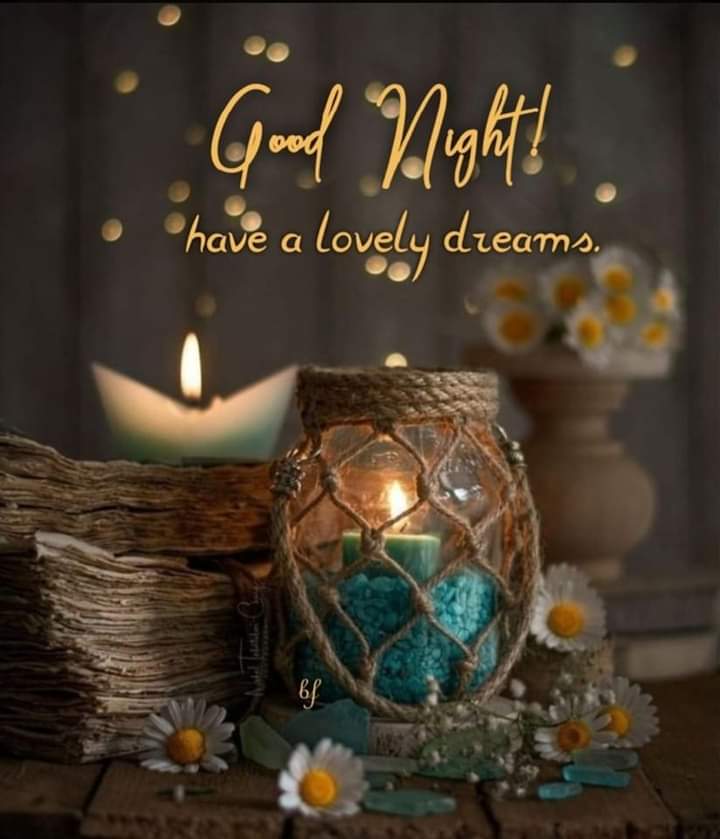 Have a wonderful evening and a restful night sleep 😴 prayer's and Blessings.