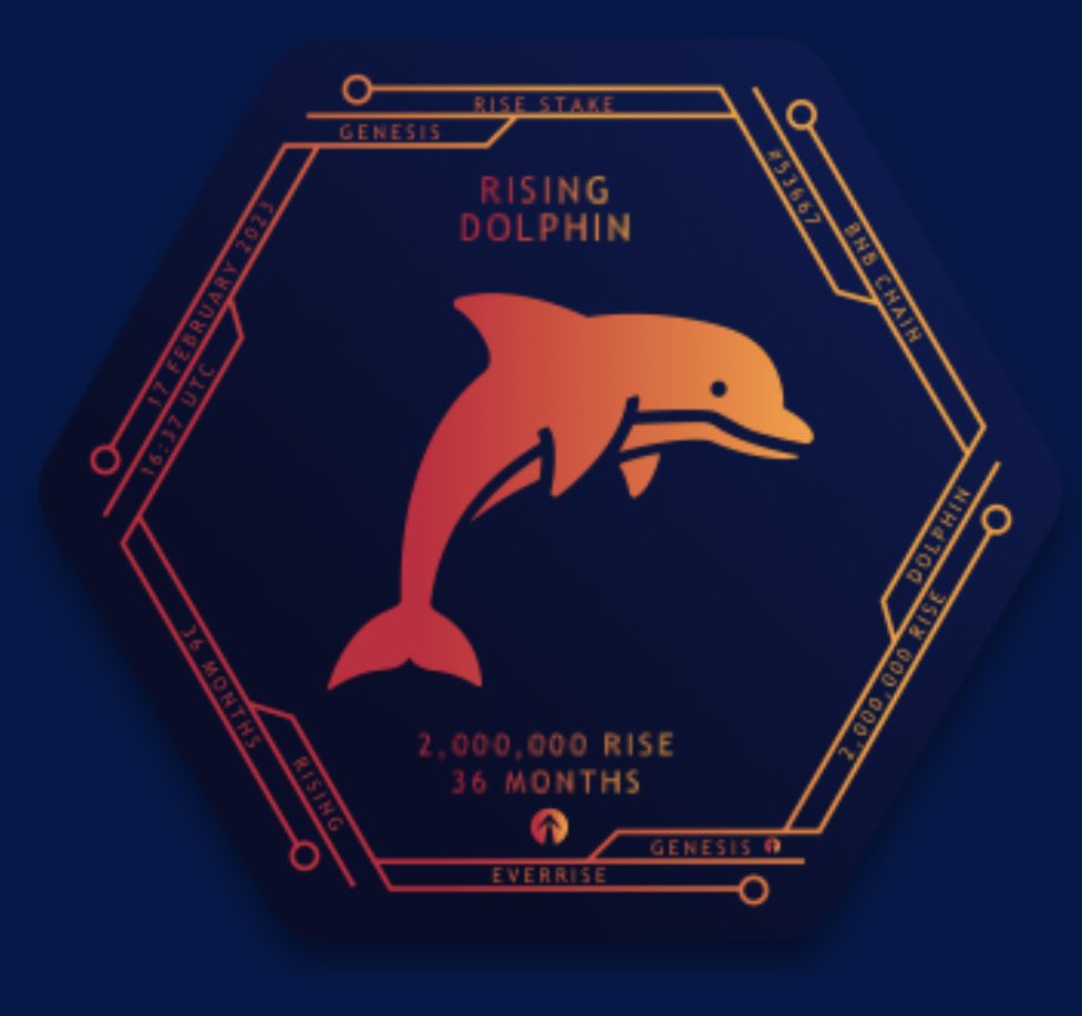 MTH_5's tweet image. Collect them all! @EverRise #staking reward watching is much more fun than price watching. #crypto #nfts #everRiseStakingLab is so user friendly