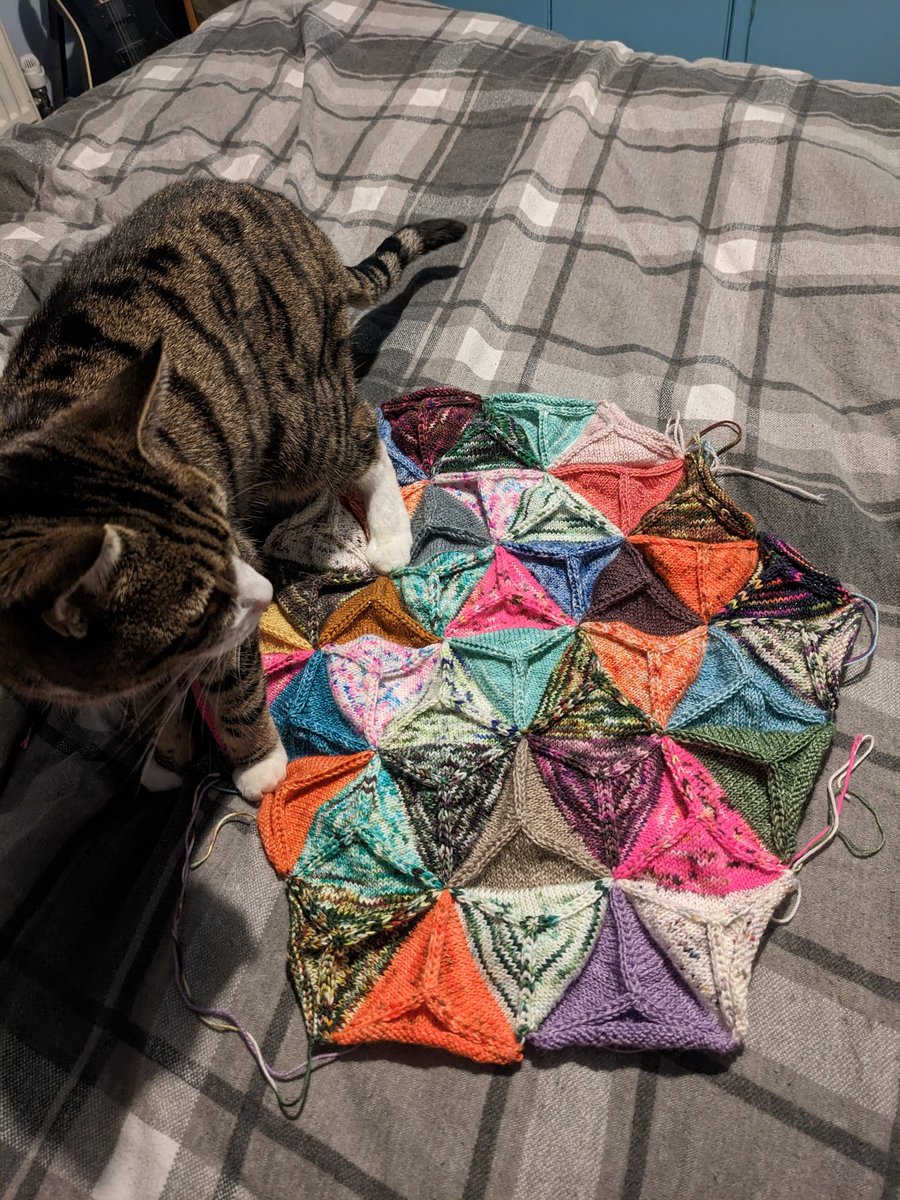 The Triangulum is growing! The latest inspection seems positive 👍#AYYKCAL23 #KnittingTwitter #CatsOfTwitter