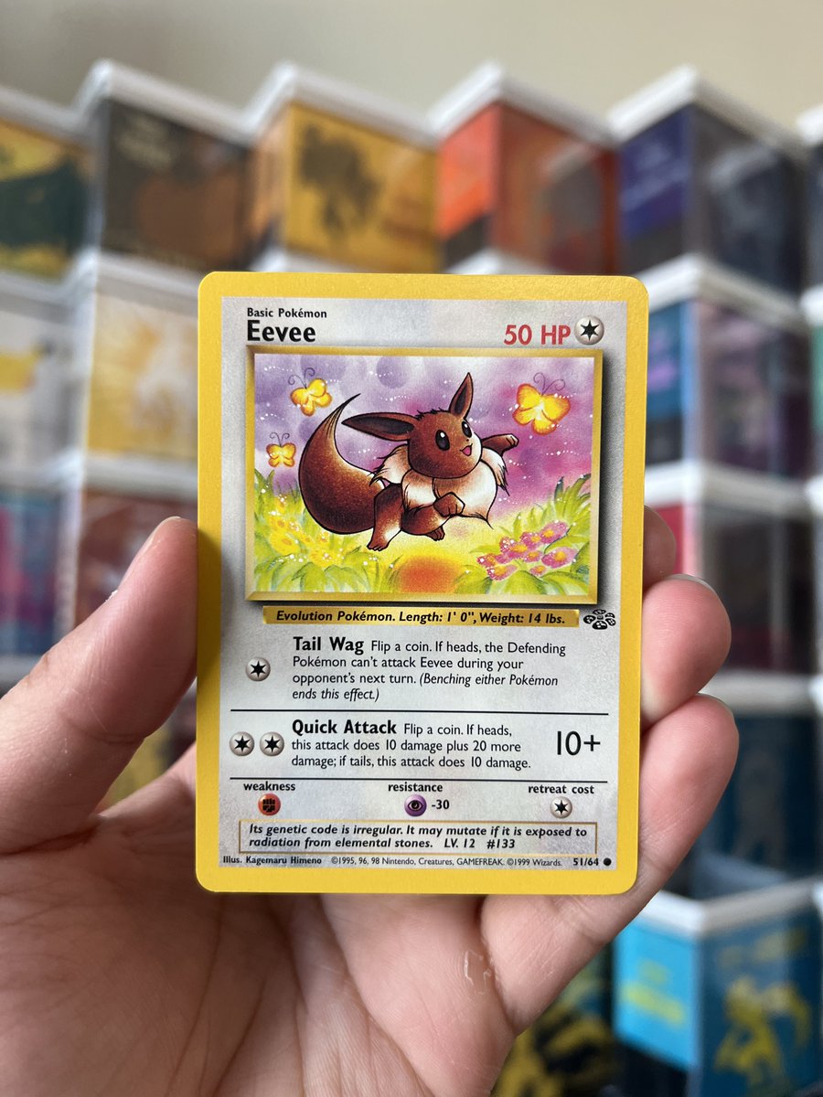 PokemonTCGIntel's tweet photo. Giving away a vintage Eevee from Jungle! Winner drawn in an hour or so! ⚡️

Just RT and turn on post notifications to enter! #PokemonTCG https://t.co/hDbASmNxUb