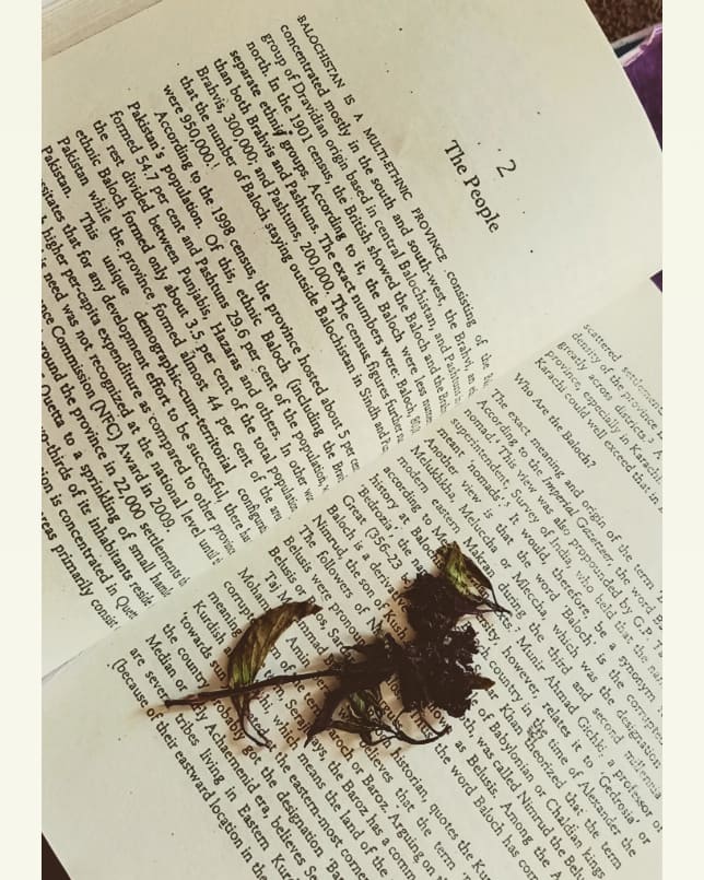 iam_Faiz18's tweet photo. There is more treasure in books than in all the pirate's loot on treasure island. ✨️🌸

#BookReading
#Blessed https://t.co/JKCME0avRH