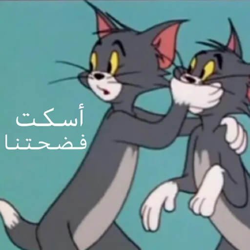 ‏̨ذېْۧ نۨــمۘــڕ tweet media