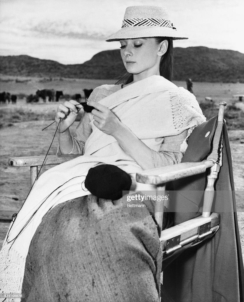 José Díaz Briseño tweet media