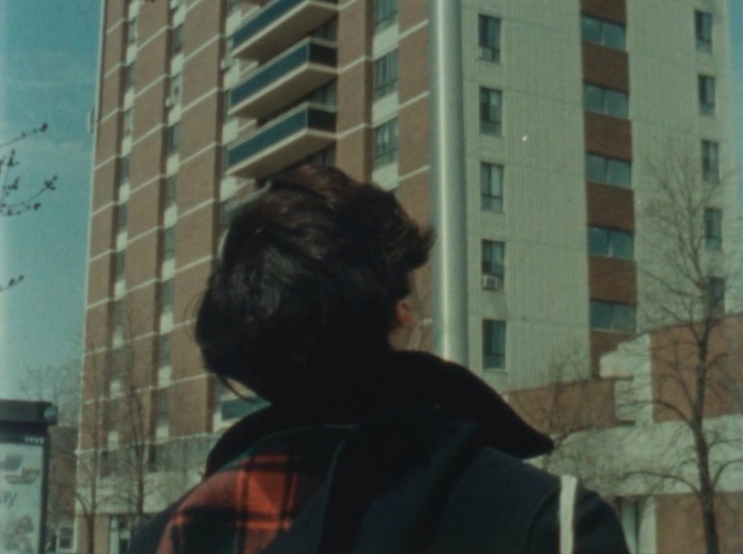 Light Field tweet media