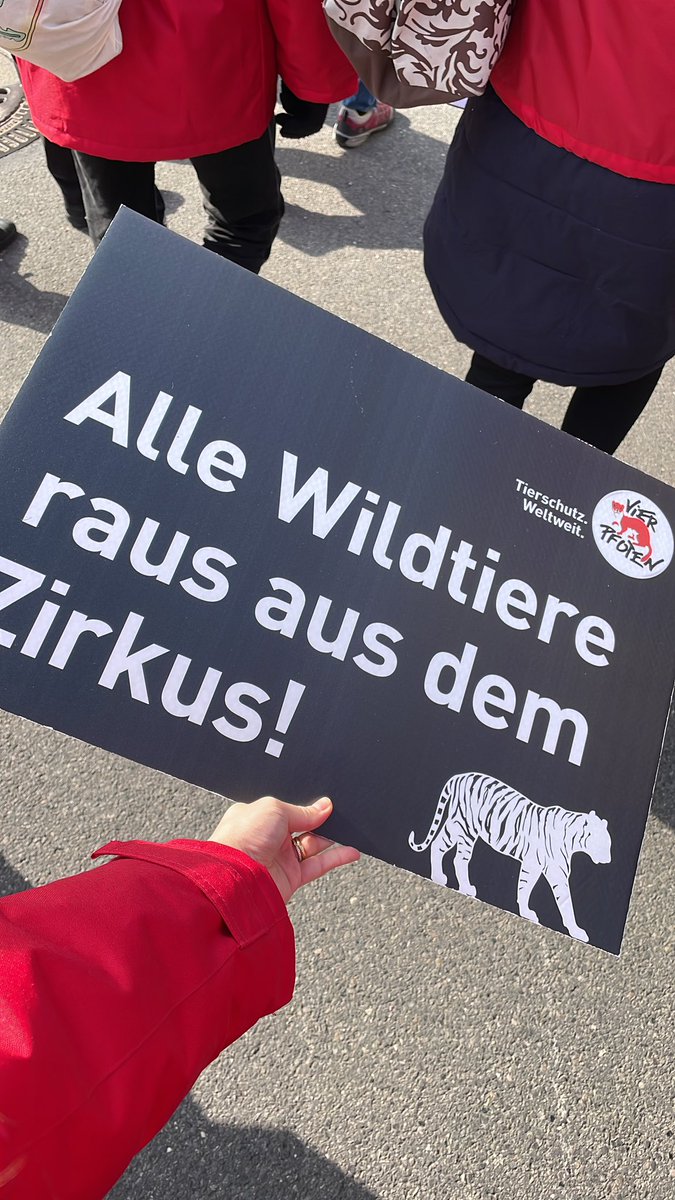 karinaomels's tweet photo. Today we were 📣 on the streets of Munich demonstrating against the abuse of wild animals in circuses 🎪 ! 🦁, 🐘 and other highly intelligent animal species endure the worst conditions imaginable and are cruelly treated in circuses to learn elaborate tricks for the show 🤡. https://t.co/DWREnABTYB