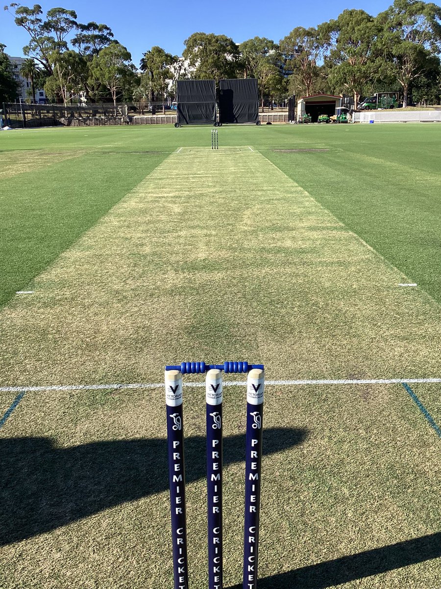 Marcella Torre tweet media