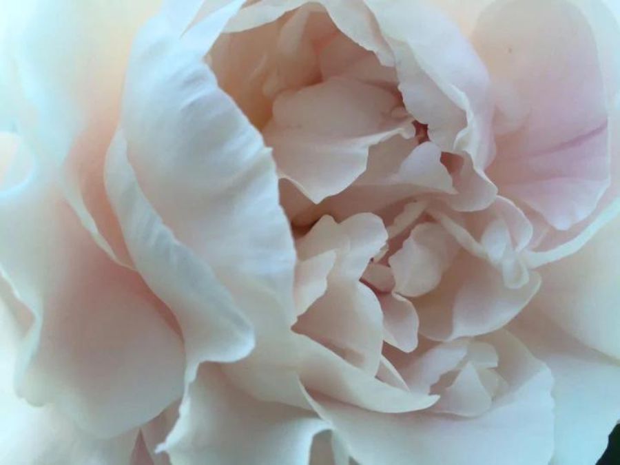 floatingL's tweet image. Wake Up Spirit is a dance of heart and community. A safe place to connect to spirit through movement and sound.

Join us this Sunday, March 5th from 11:00 a.m.-1:00 p.m. at the Floating Lotus on Main Street in Gloucester.

Sign up here: bit.ly/3kUXTRs