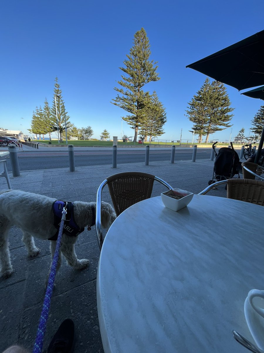 Morning coffee