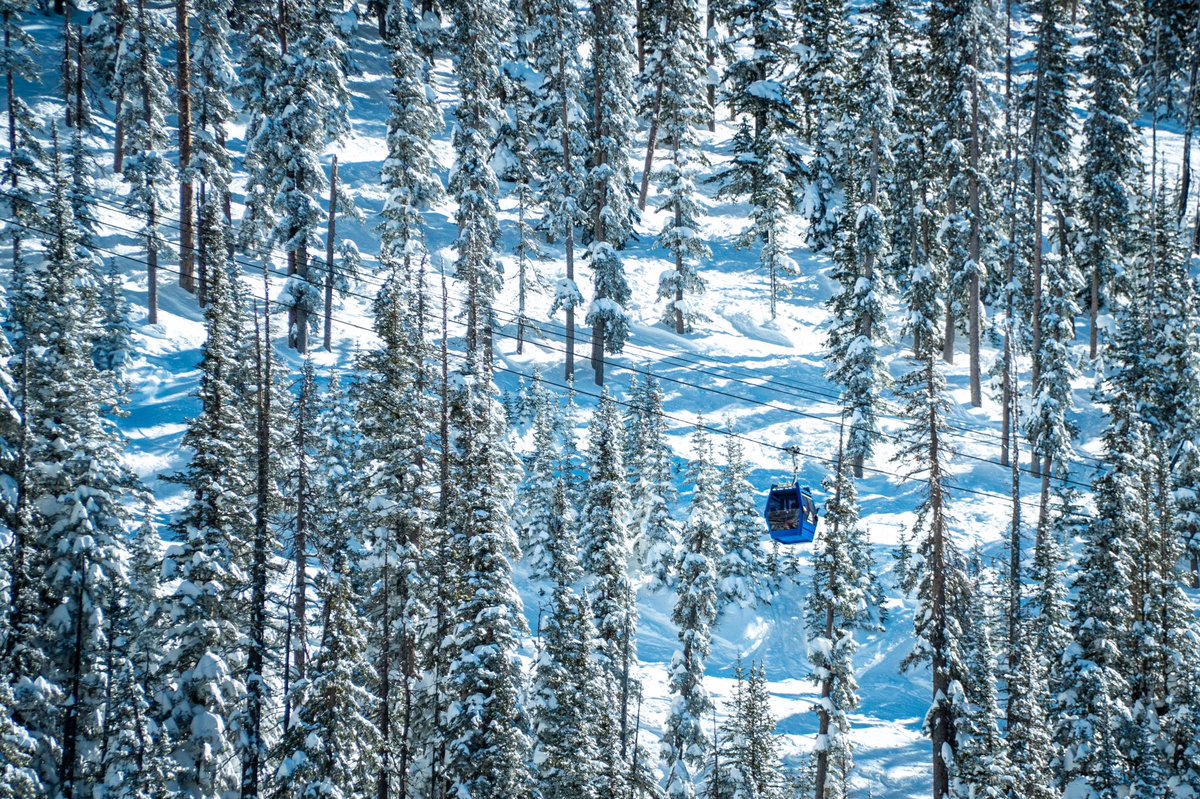 AZSnowbowl's tweet photo. These blue skies sure make for gorgeous days and great conditions out on the slopes! 🤩 

The Worlds Best Spring Break is here and you can score lift tickets for as low as $47 this week and $29 later in the month! Get yours today &amp; come ski in the sunshine before the next storm! https://t.co/VnMnaGZVZ6