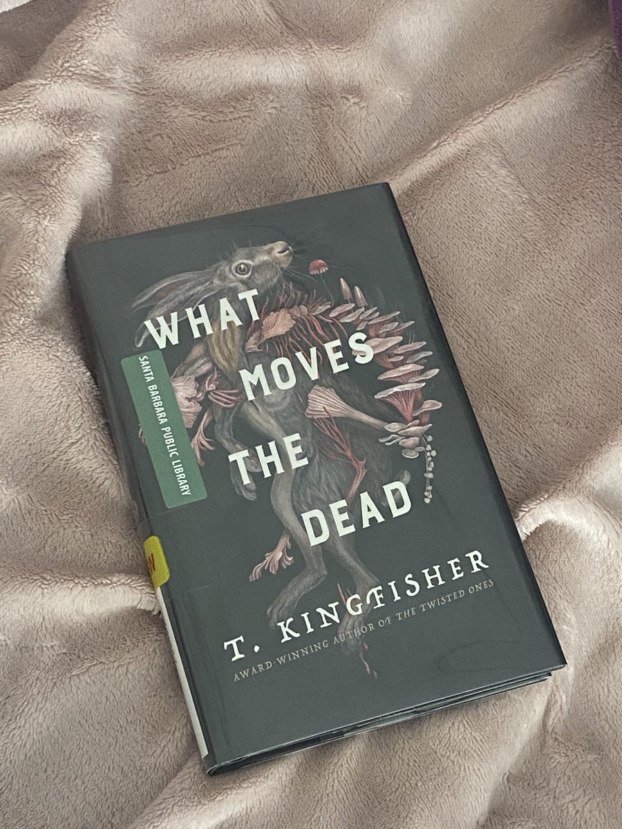TaylorLaurenR's tweet photo. If the days between eps of The Last of Us are as long for you as they are for me, may I recommend… https://t.co/40lH6xN4NU