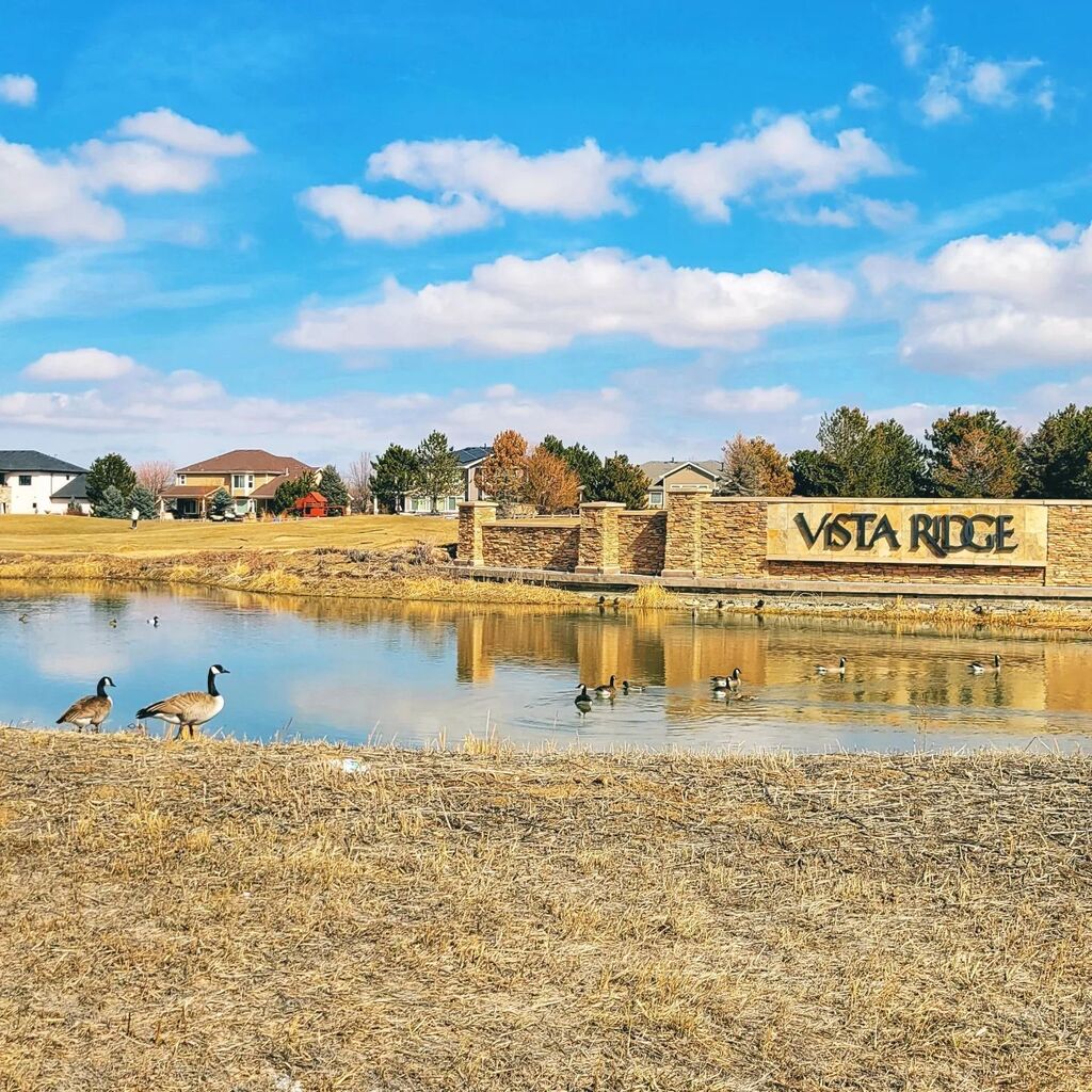 vuthy's tweet photo. We've been here 6 months and I saw pigeons for the first time today! It was 36° and sunny so a perfect day for a walk. https://t.co/fwVVWfDefP https://t.co/bKVg4oHzFg