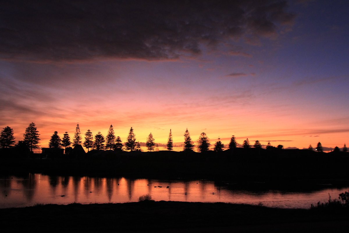 Thousands of stories about Cyclone Gabrielle - this is one of mine: tinystoriesnz.blogspot.com/2023/03/a-meas…