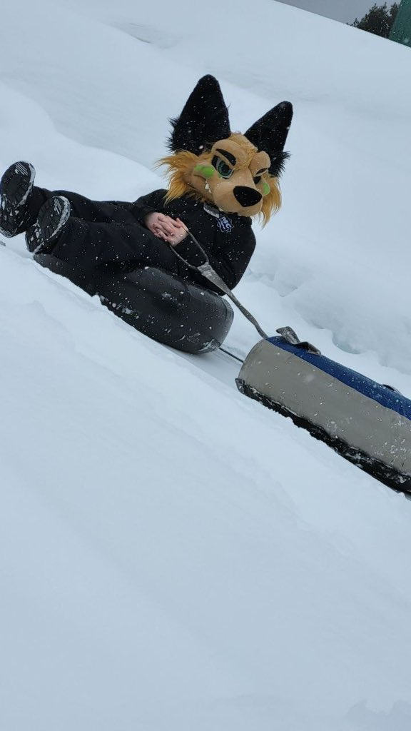 DragoonFox's tweet photo. Had a lot of fun today Snow Tubing at #Fluffe furmeet ❤️ Will be repeated next year for sure. Next event: Sugar Shack?
https://t.co/kL0D8U2Os1
📍: Super glissade de Matha
📸: @DeerTaru https://t.co/1olouX6HQl