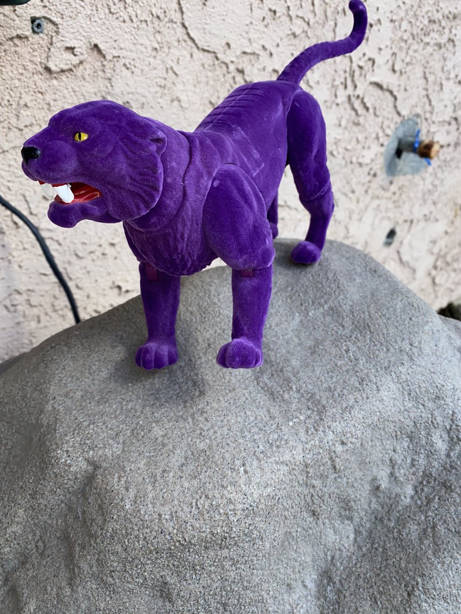 toyphotography1's tweet image. #Panthor #MOTU #Flocked