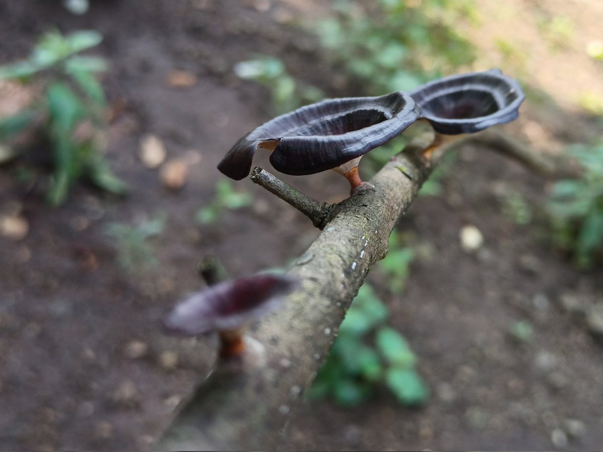 Sun_deep tweet media