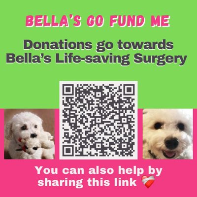 #NewProfilePic

❤️‍🩹 gofund.me/857299d7

🙏Please 🫶
#DonateNow #Share