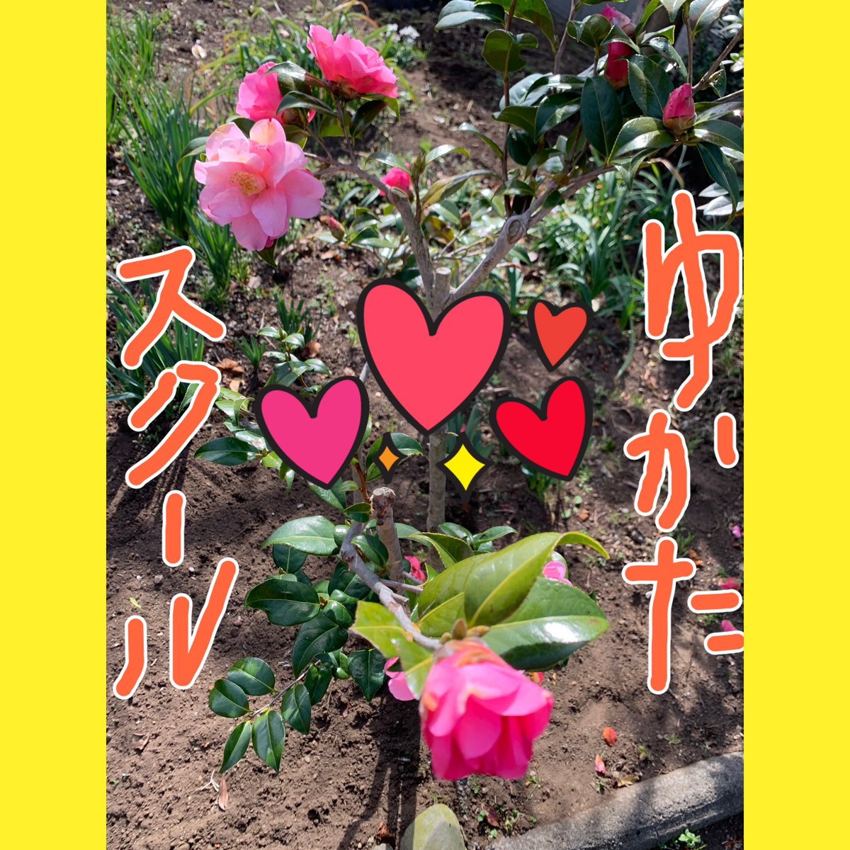 Cherio0093's tweet photo. チャンス→マンツーマン
1人で着れるまでお教え致しますYO❣️
#宮崎県
#児湯郡 https://t.co/0p76IUUa73