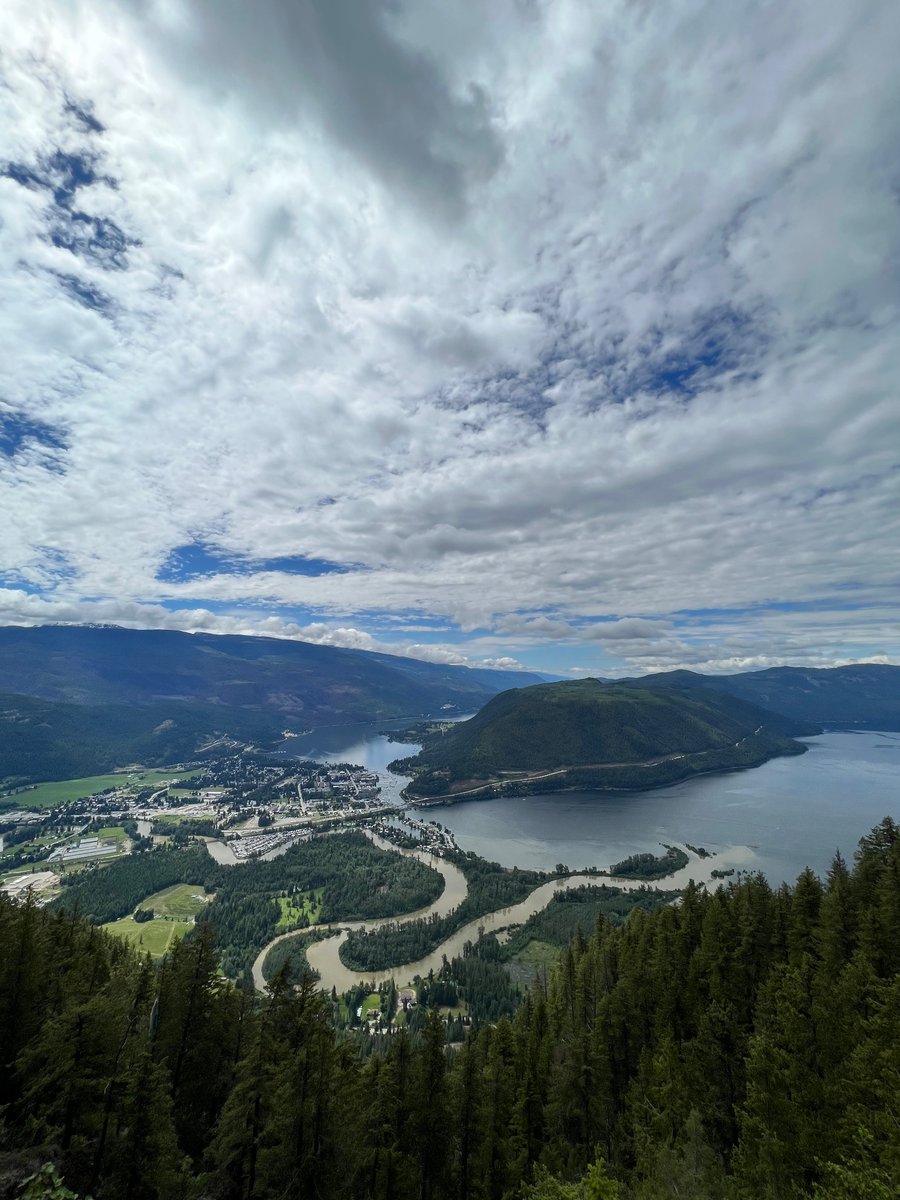 Bcbudgal tweet media