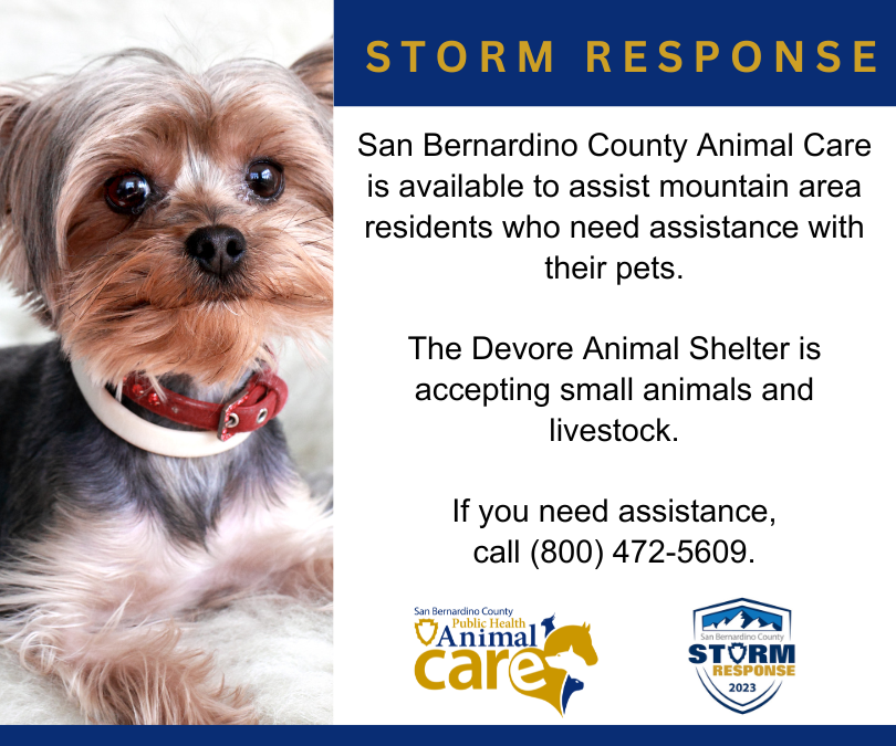 San Bernardino County Department of Public Health on Twitter: San Bernardino County Department of Public Health on Twitter: